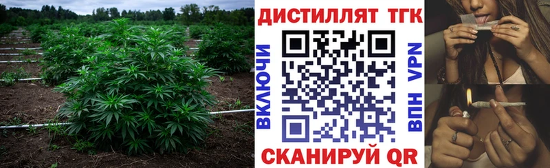 это как зайти  Афипский  Дистиллят ТГК гашишное масло  хочу  